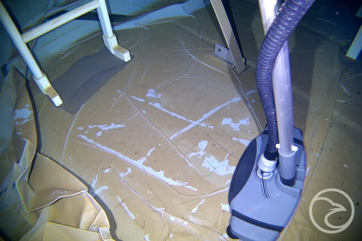 Signs Your Water Tank Needs Cleaning